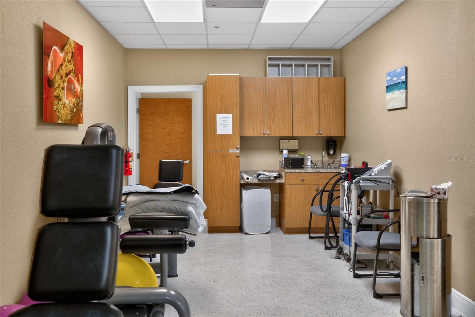733 COUNTY ROAD 466, LADY LAKE, FL, 32159