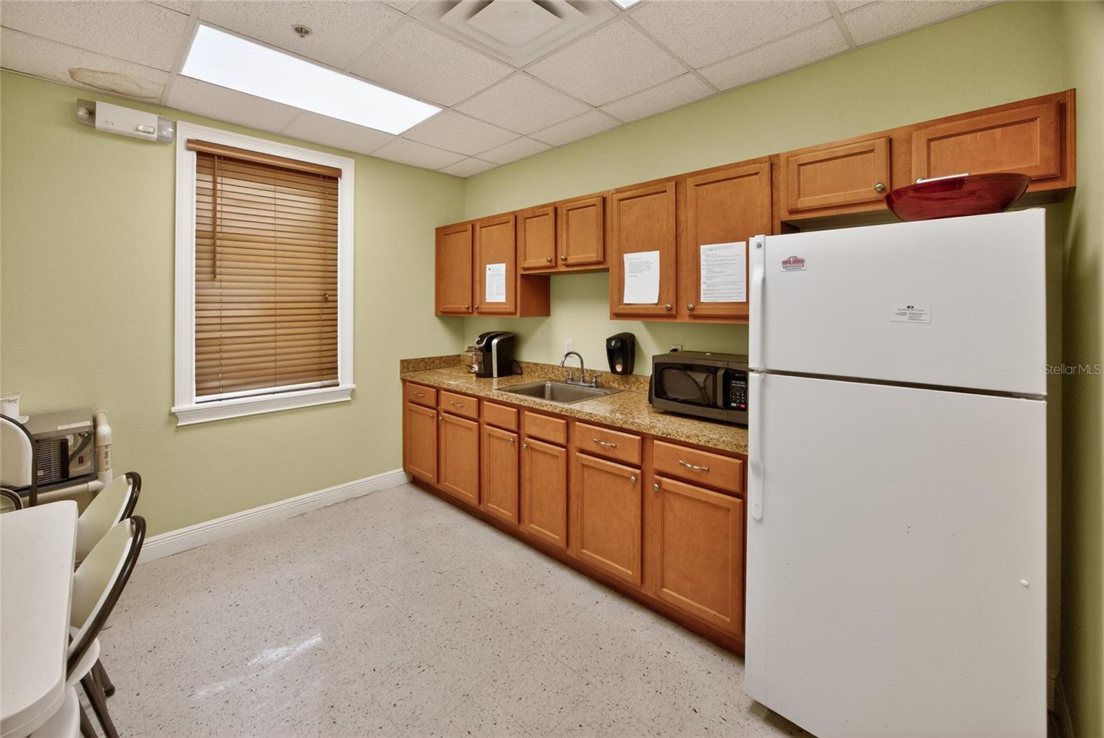 733 COUNTY ROAD 466, LADY LAKE, FL, 32159