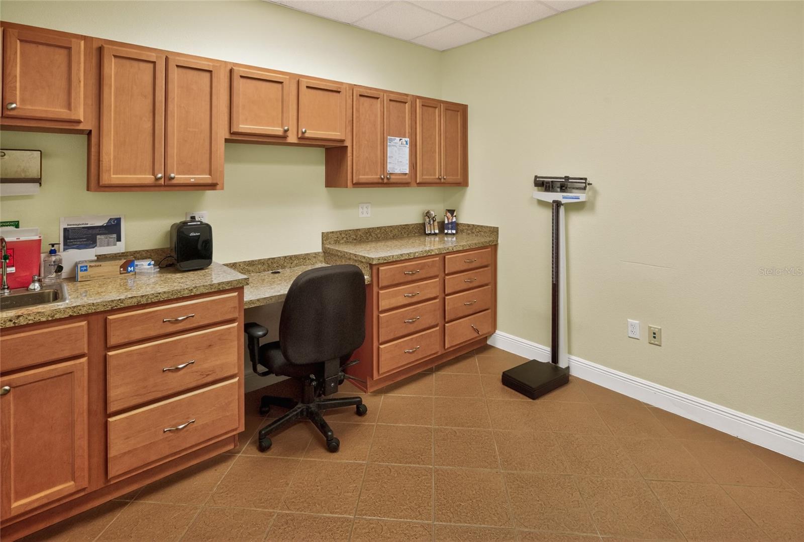 733 COUNTY ROAD 466, LADY LAKE, FL, 32159
