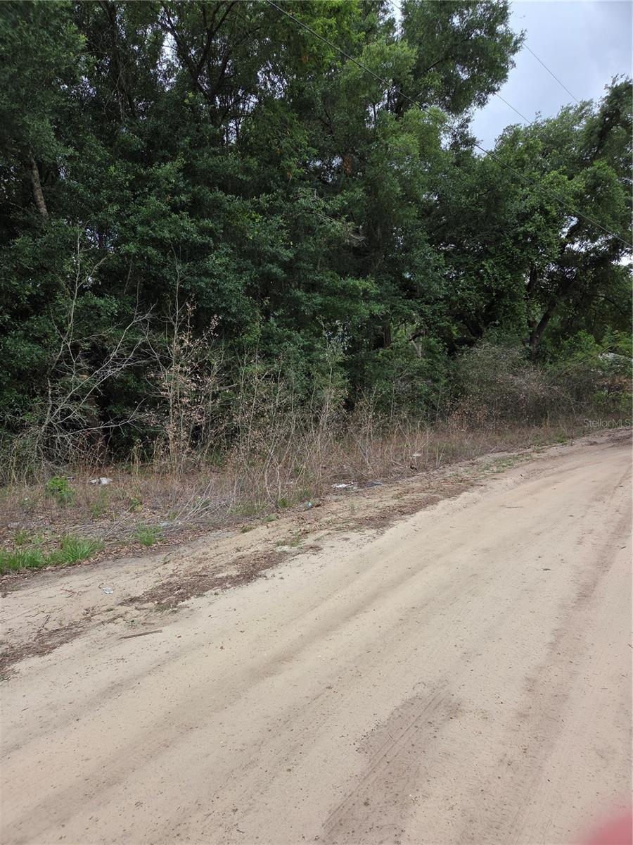 Unit 17 SE 142 PL, SUMMERFIELD, FL, 34491