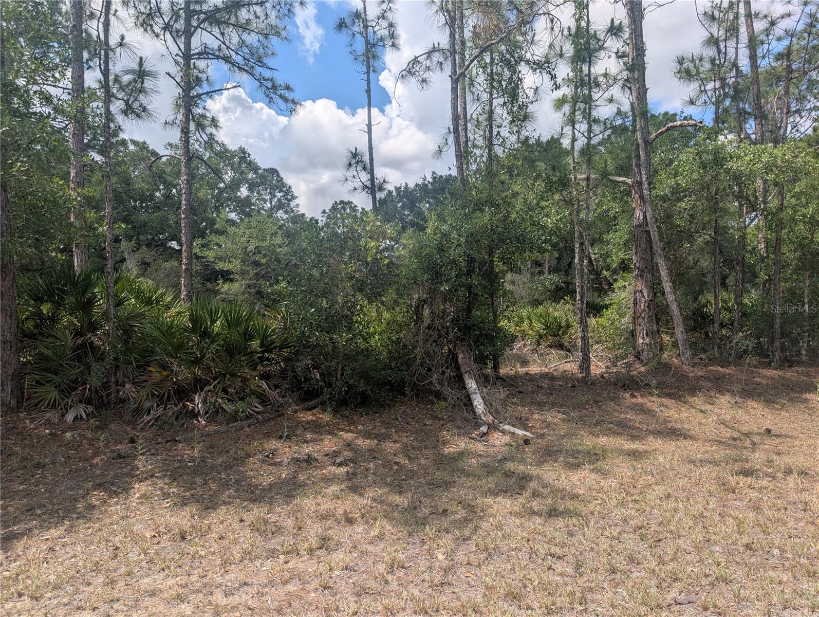 ALLAMANDA DR, INDIAN LAKE ESTATES, FL, 33855