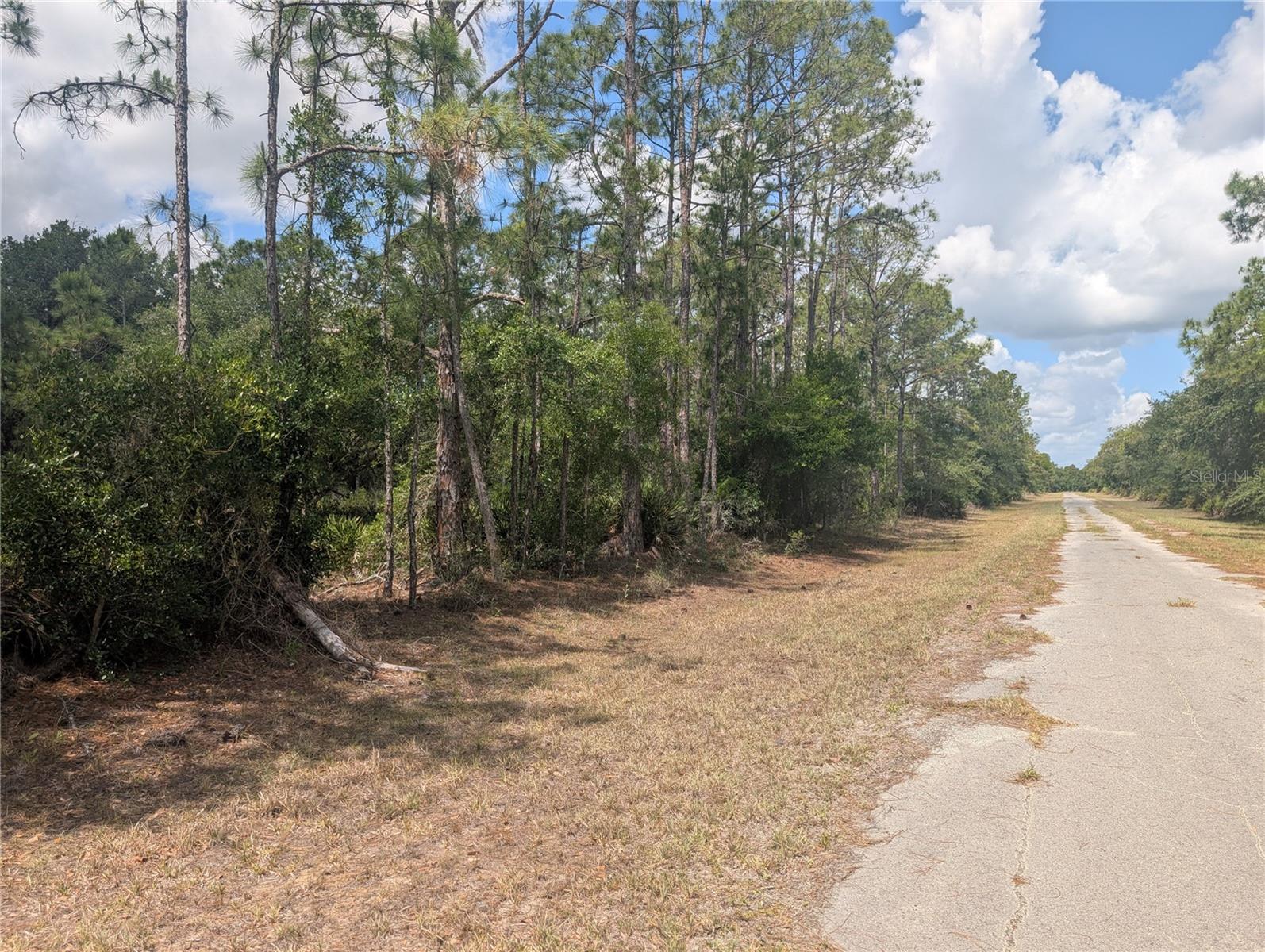ALLAMANDA DR, INDIAN LAKE ESTATES, FL, 33855