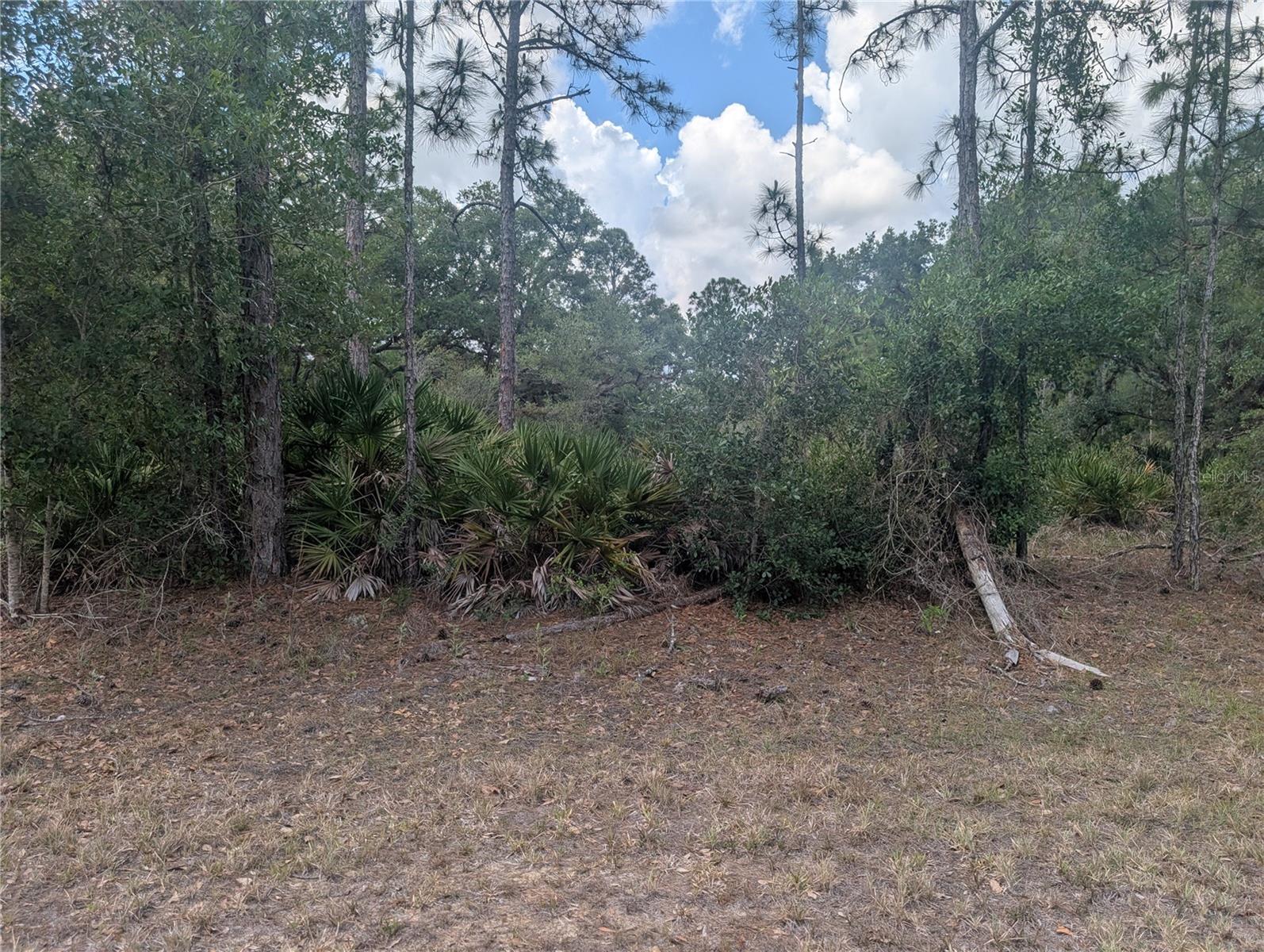 ALLAMANDA DR, INDIAN LAKE ESTATES, FL, 33855
