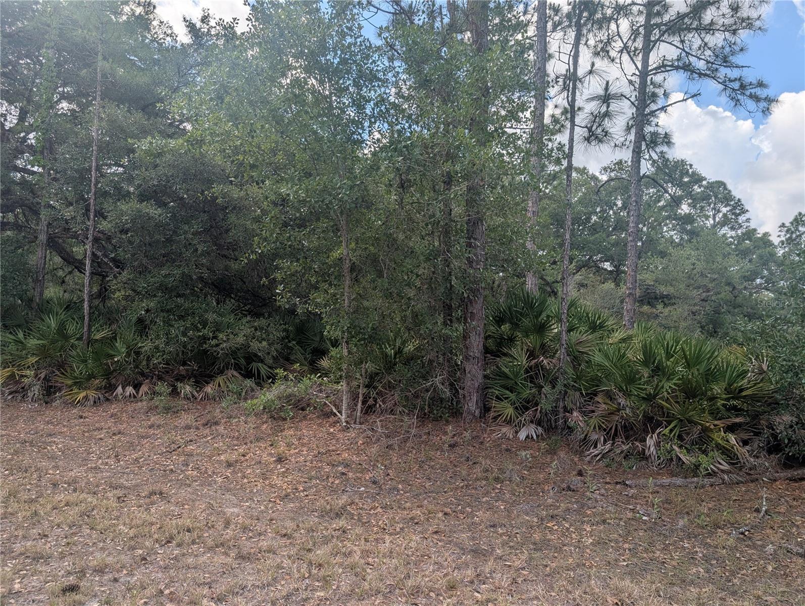 ALLAMANDA DR, INDIAN LAKE ESTATES, FL, 33855