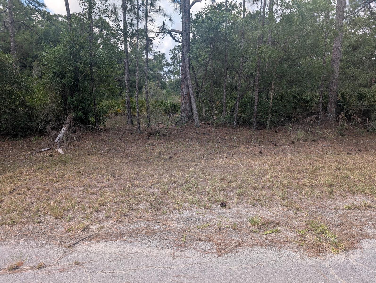 ALLAMANDA DR, INDIAN LAKE ESTATES, FL, 33855