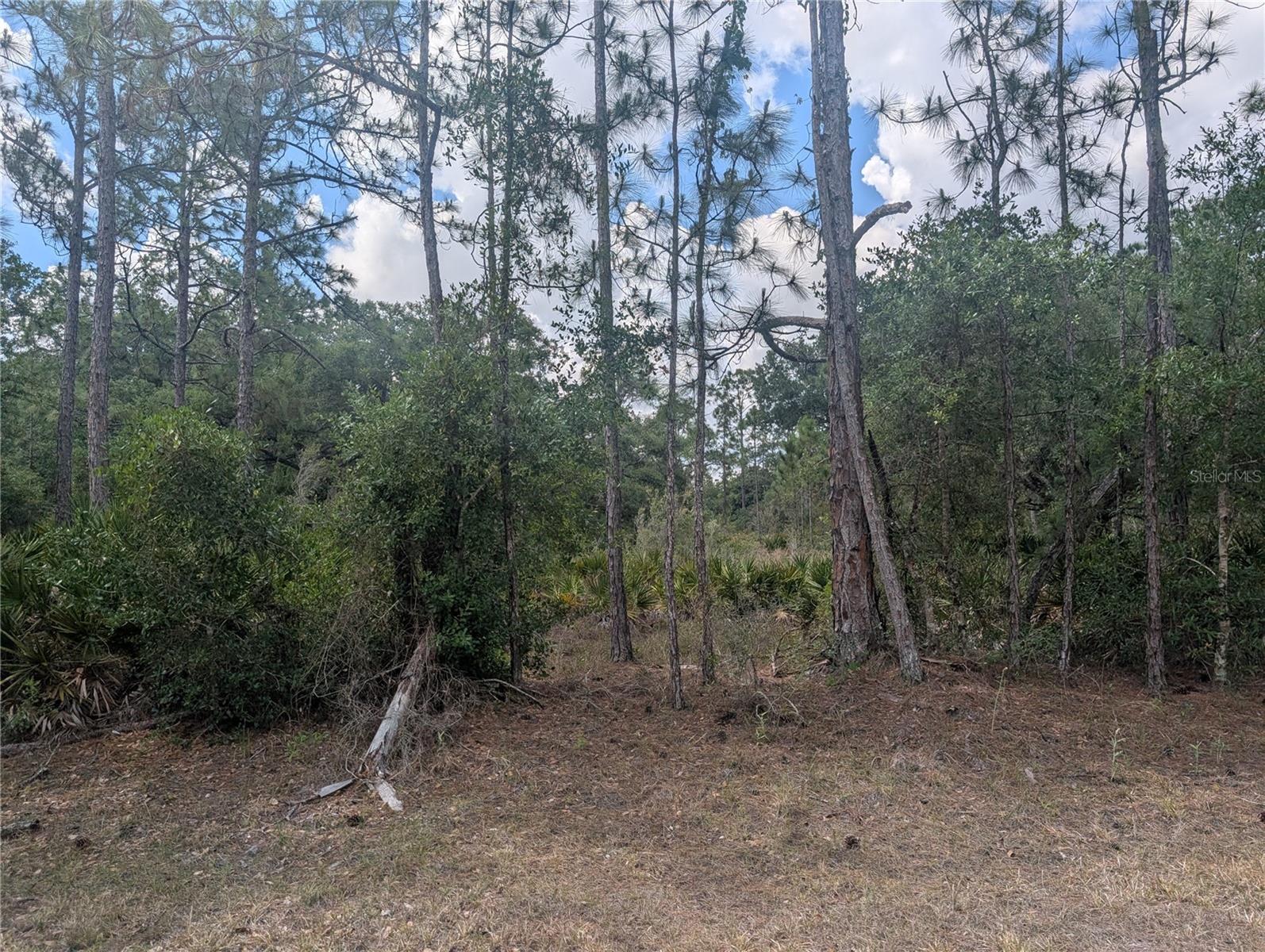 ALLAMANDA DR, INDIAN LAKE ESTATES, FL, 33855