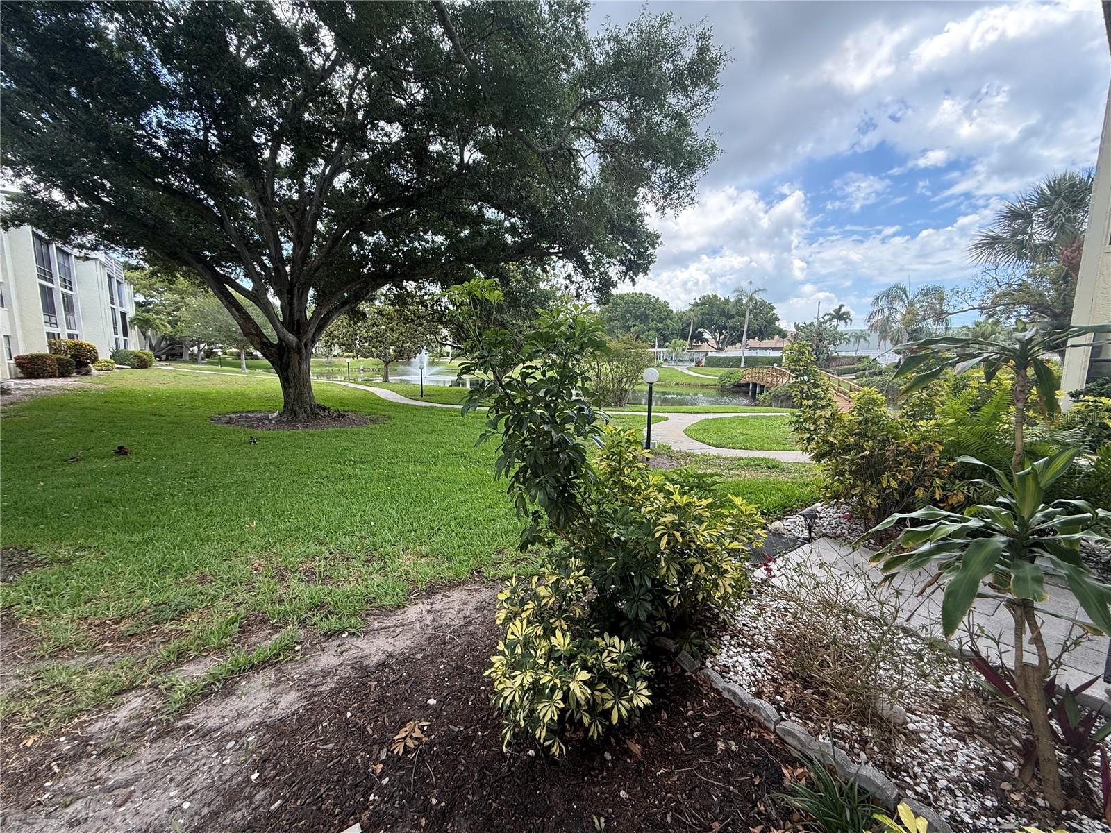 14130 ROSEMARY LN #3118, LARGO, FL, 33774