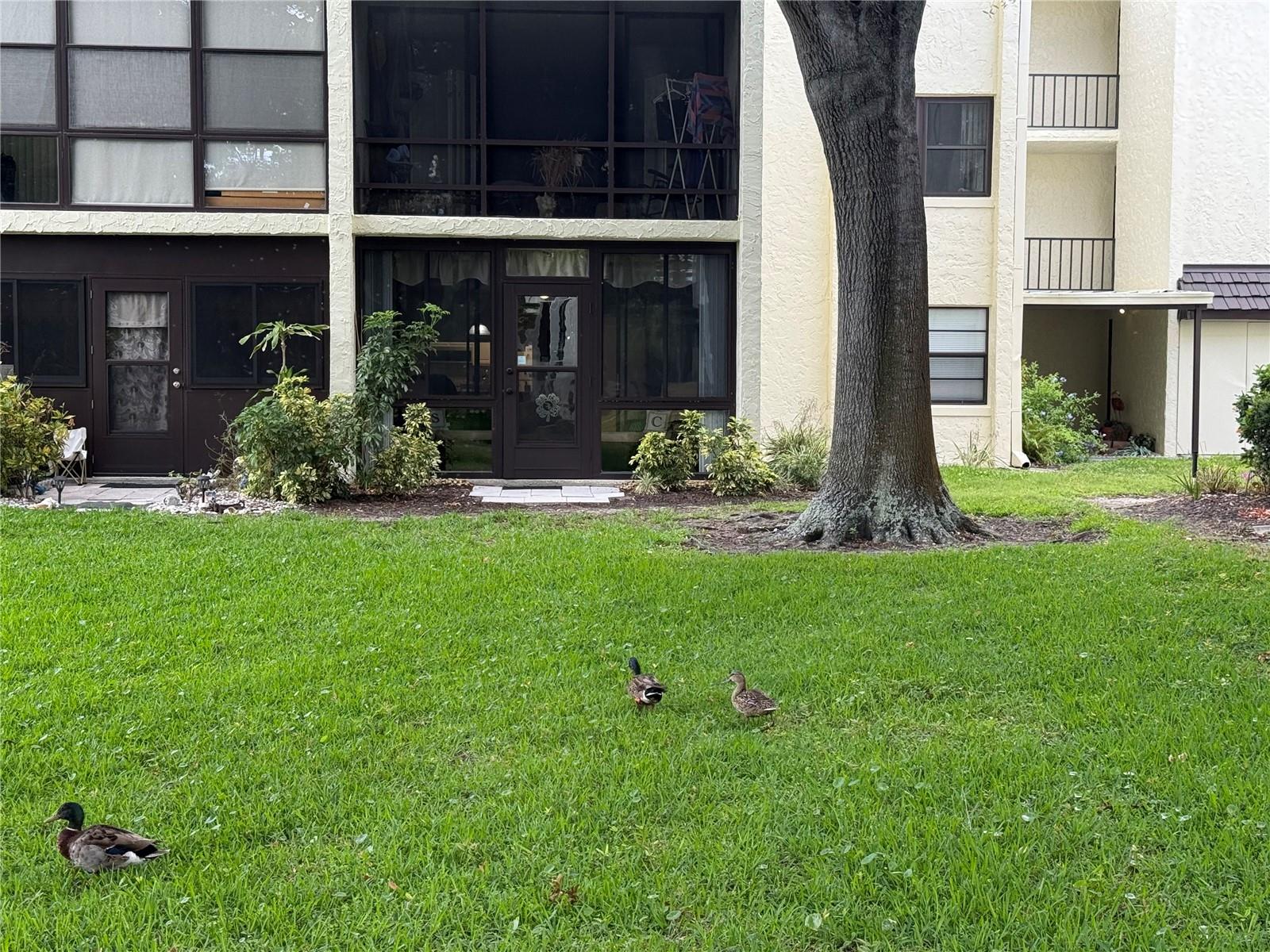 14130 ROSEMARY LN #3118, LARGO, FL, 33774
