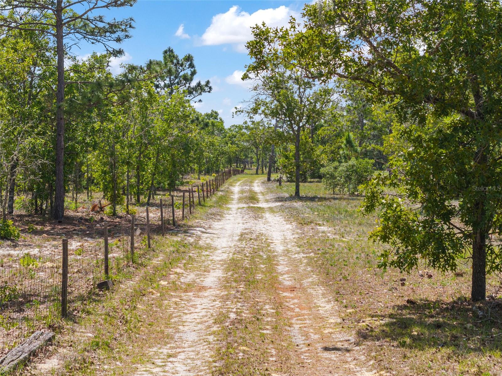 9950 SE 136TH TER, DUNNELLON, FL, 34431