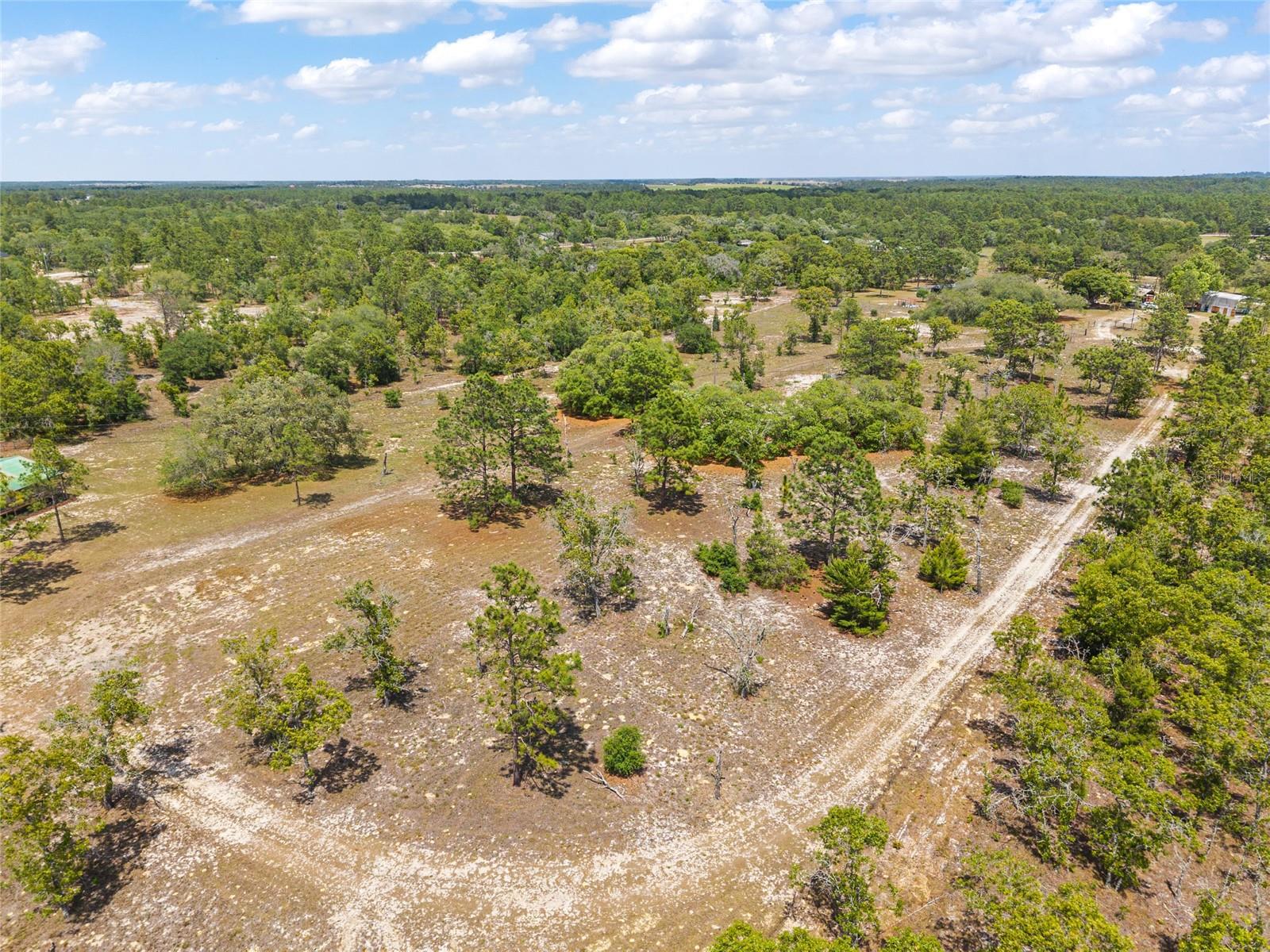 9950 SE 136TH TER, DUNNELLON, FL, 34431