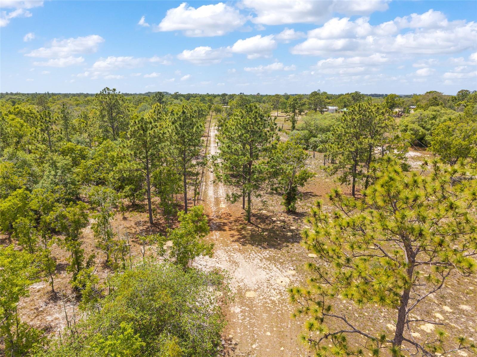 9950 SE 136TH TER, DUNNELLON, FL, 34431