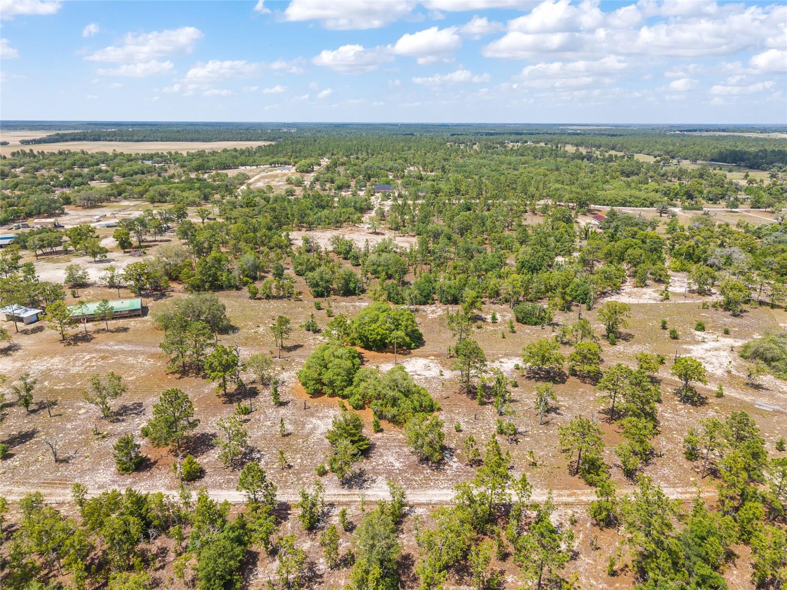 9950 SE 136TH TER, DUNNELLON, FL, 34431