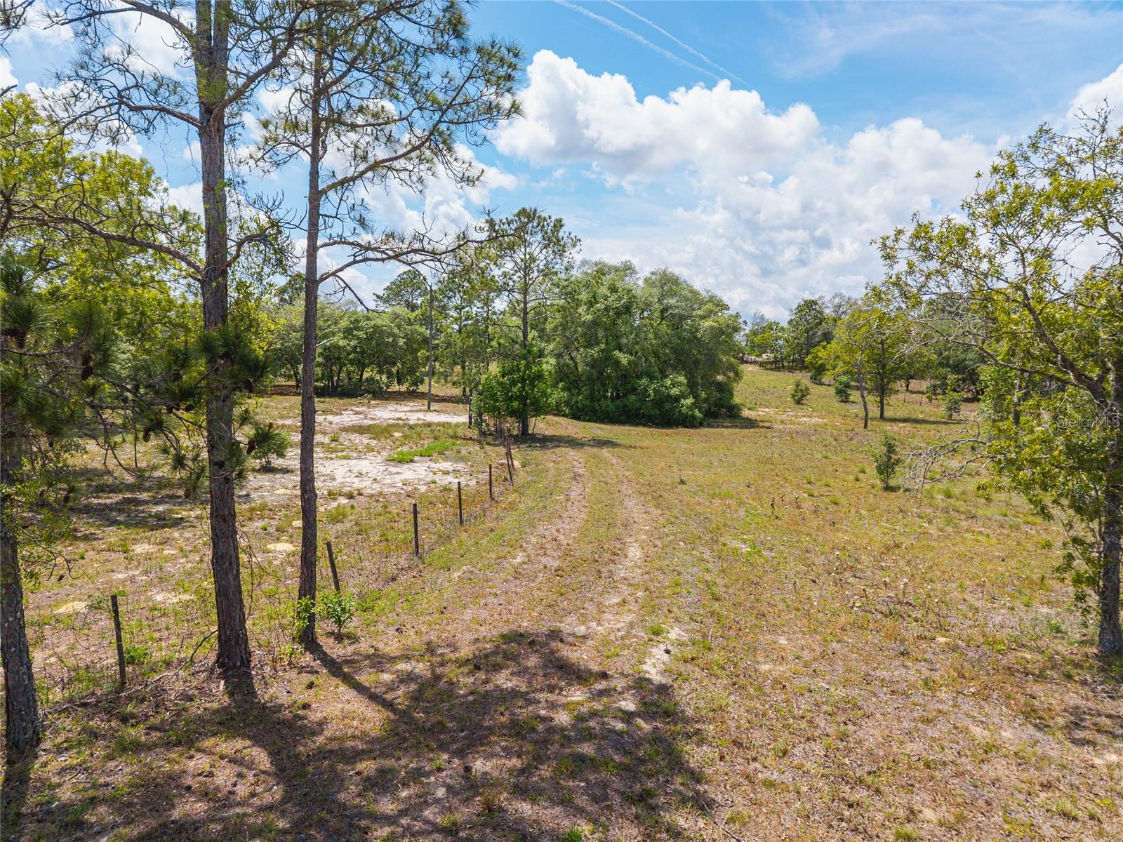 9950 SE 136TH TER, DUNNELLON, FL, 34431