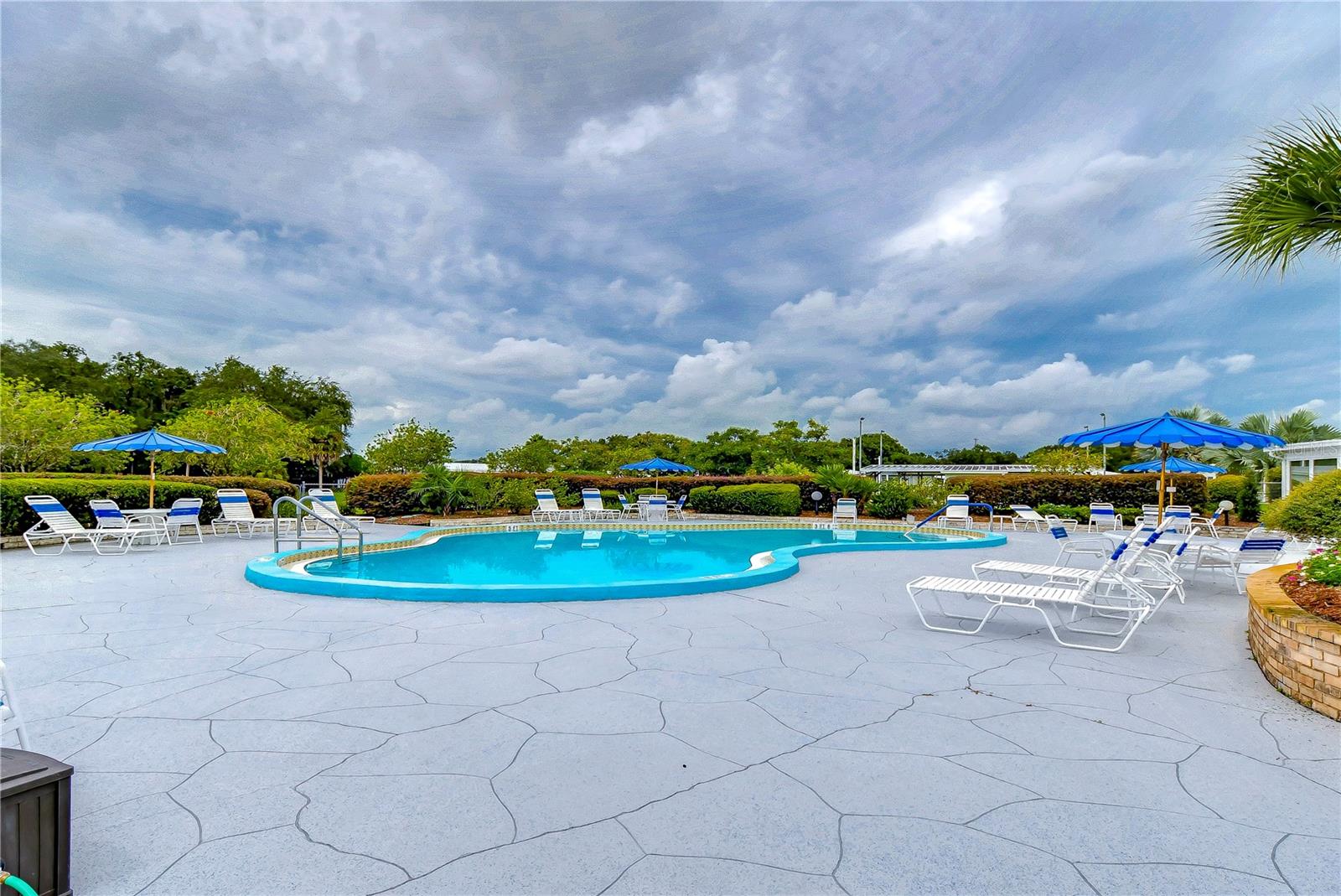 35123 COLONY HILLS DR, ZEPHYRHILLS, FL, 33541