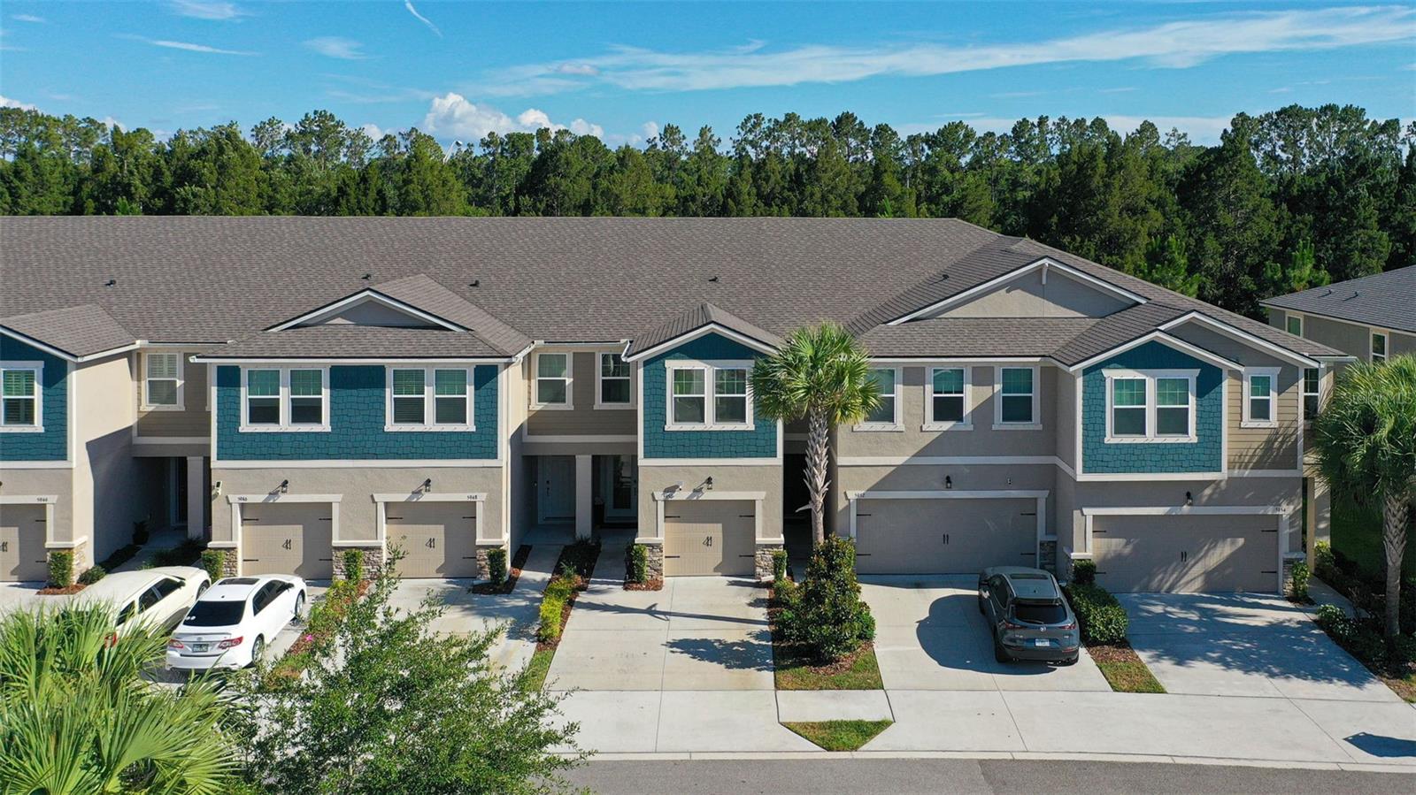 5950 GRAND SONATA AVE, LUTZ, FL, 33558