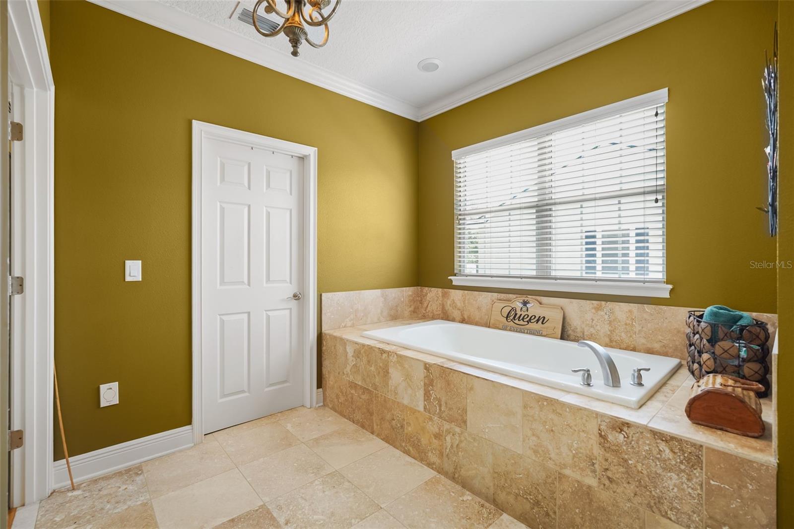 161 VINE ST, OVIEDO, FL, 32765