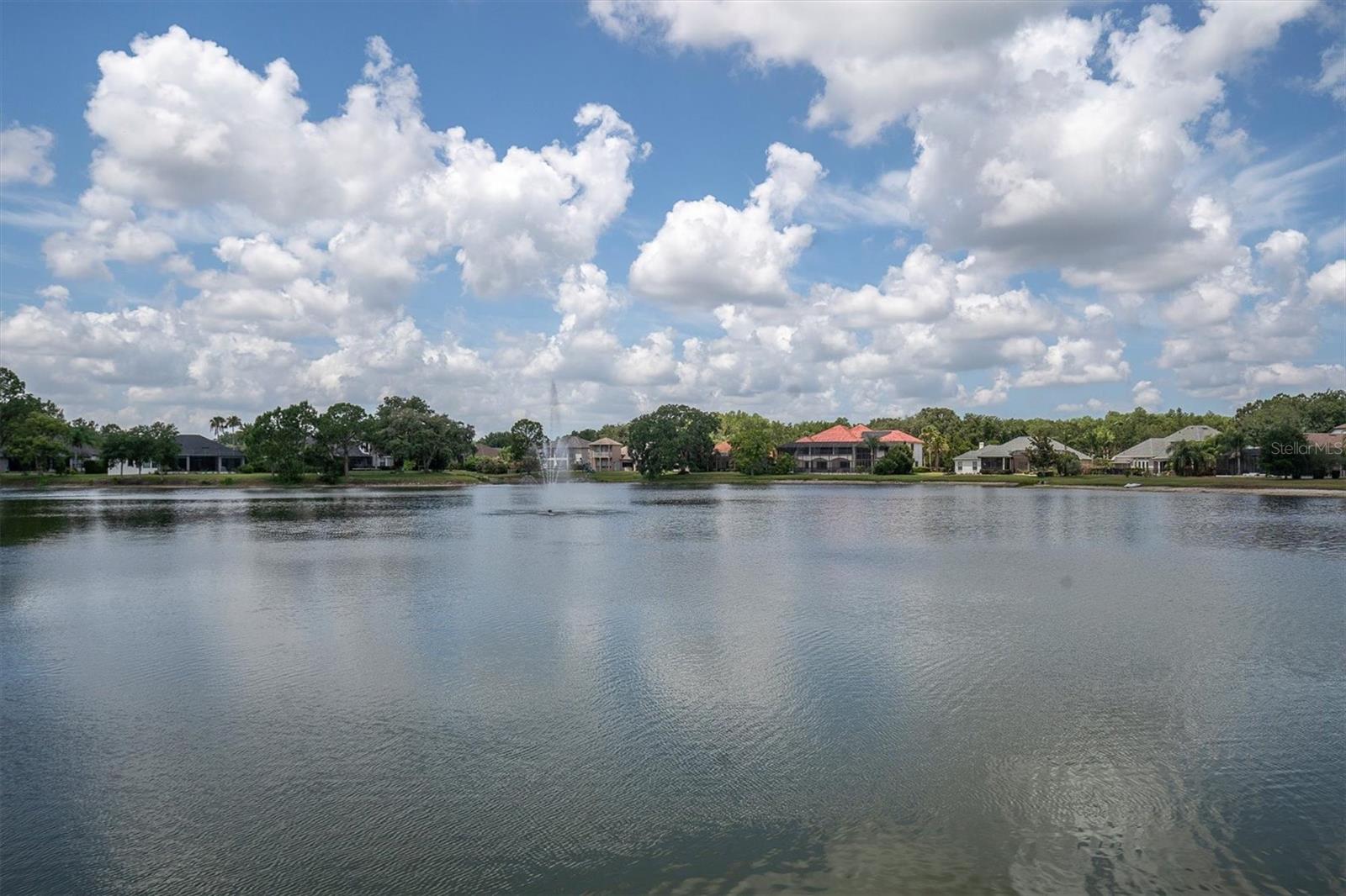 15223 WIND WHISPER DR, ODESSA, FL, 33556