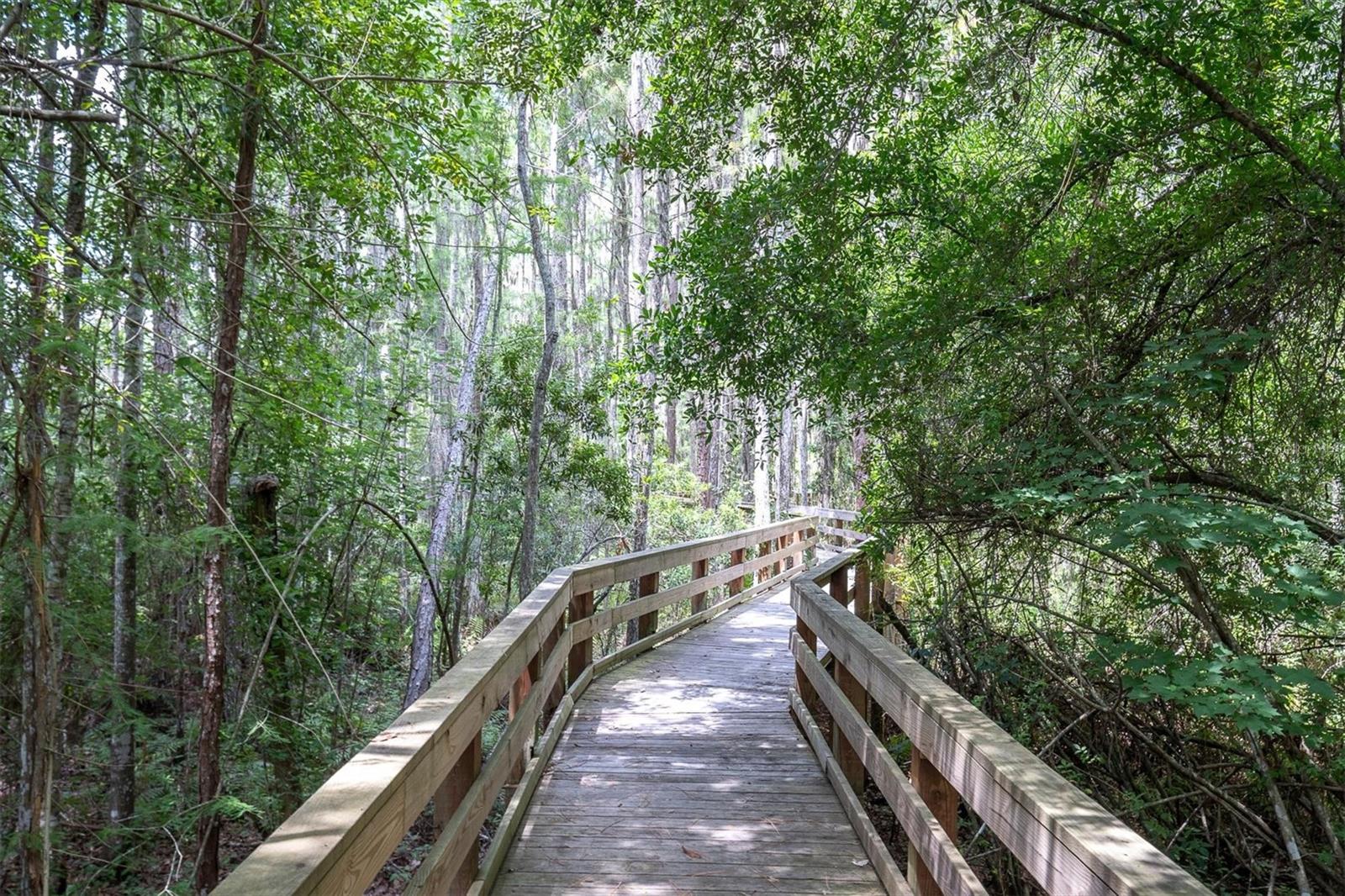 15223 WIND WHISPER DR, ODESSA, FL, 33556