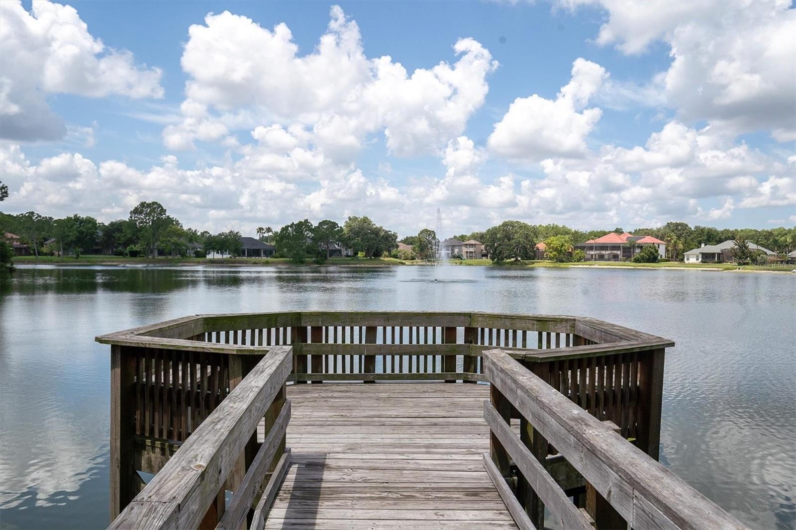 15223 WIND WHISPER DR, ODESSA, FL, 33556