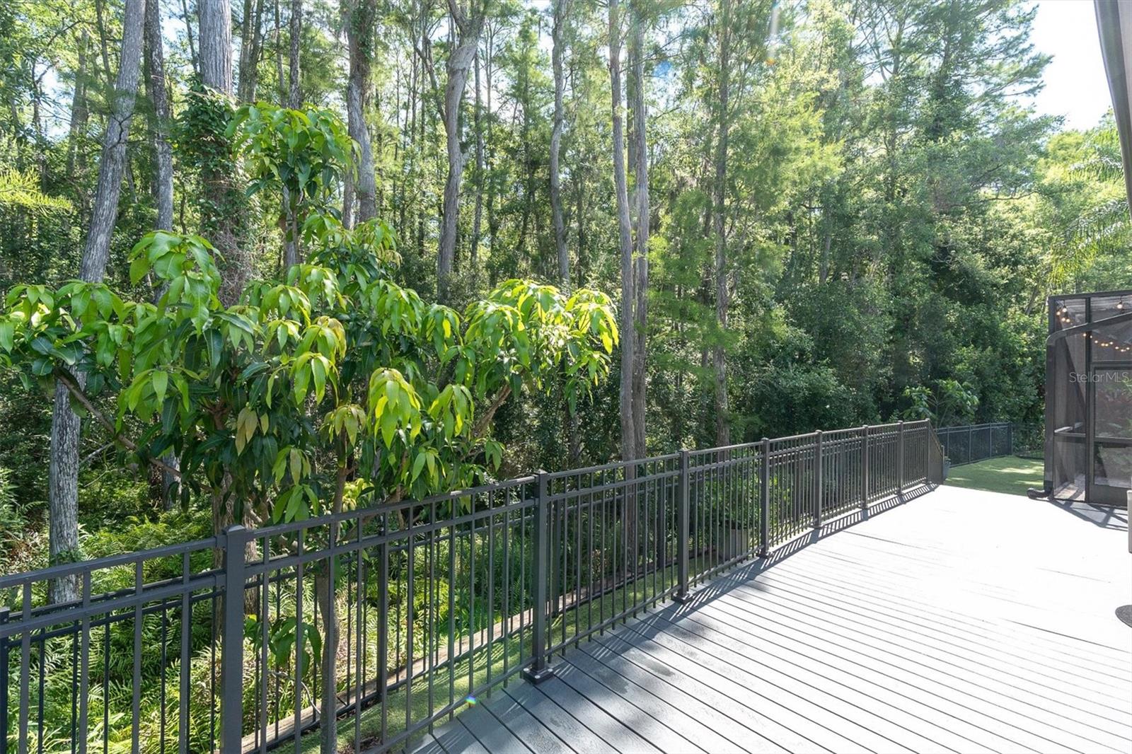 15223 WIND WHISPER DR, ODESSA, FL, 33556
