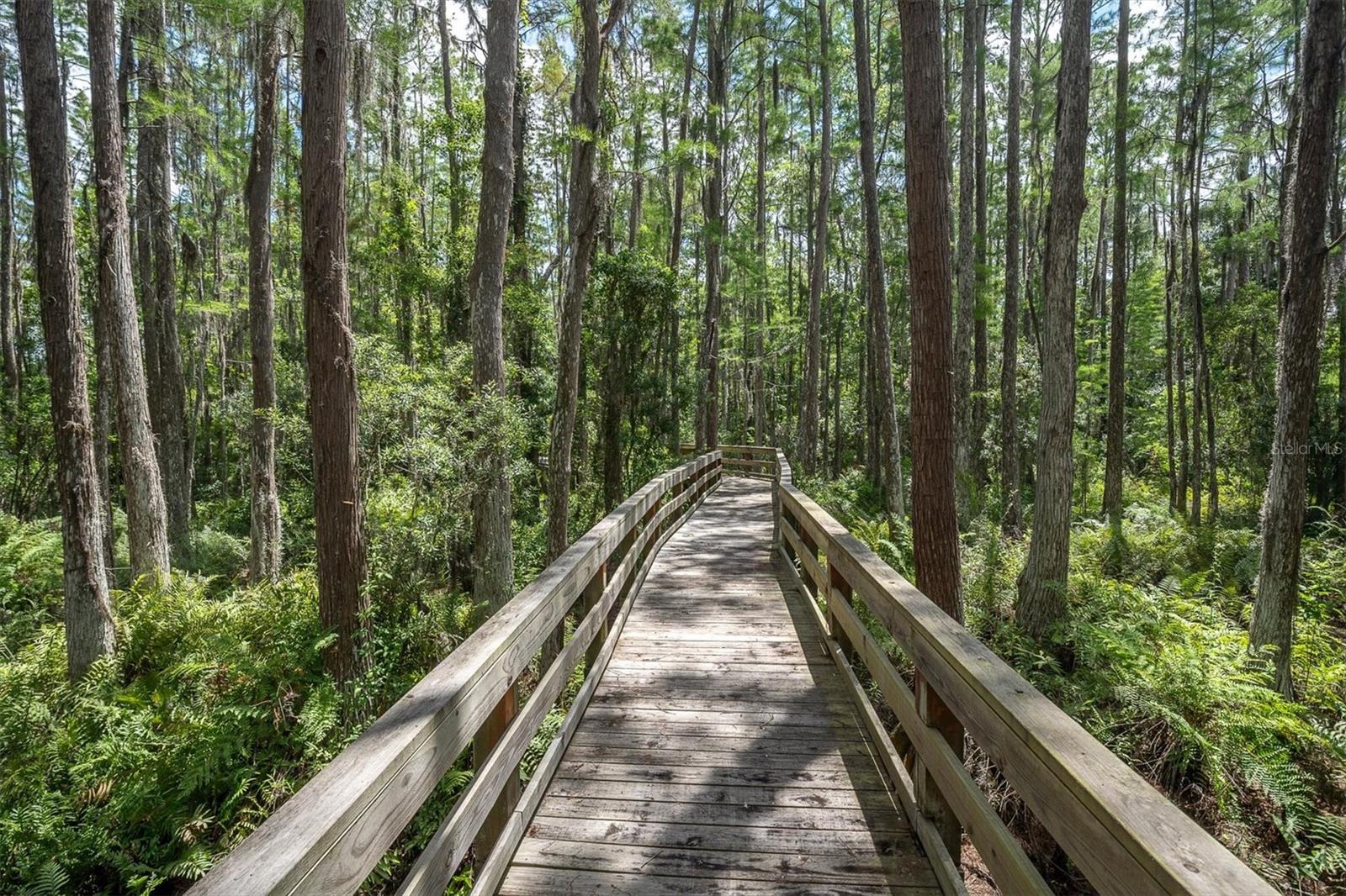 15223 WIND WHISPER DR, ODESSA, FL, 33556
