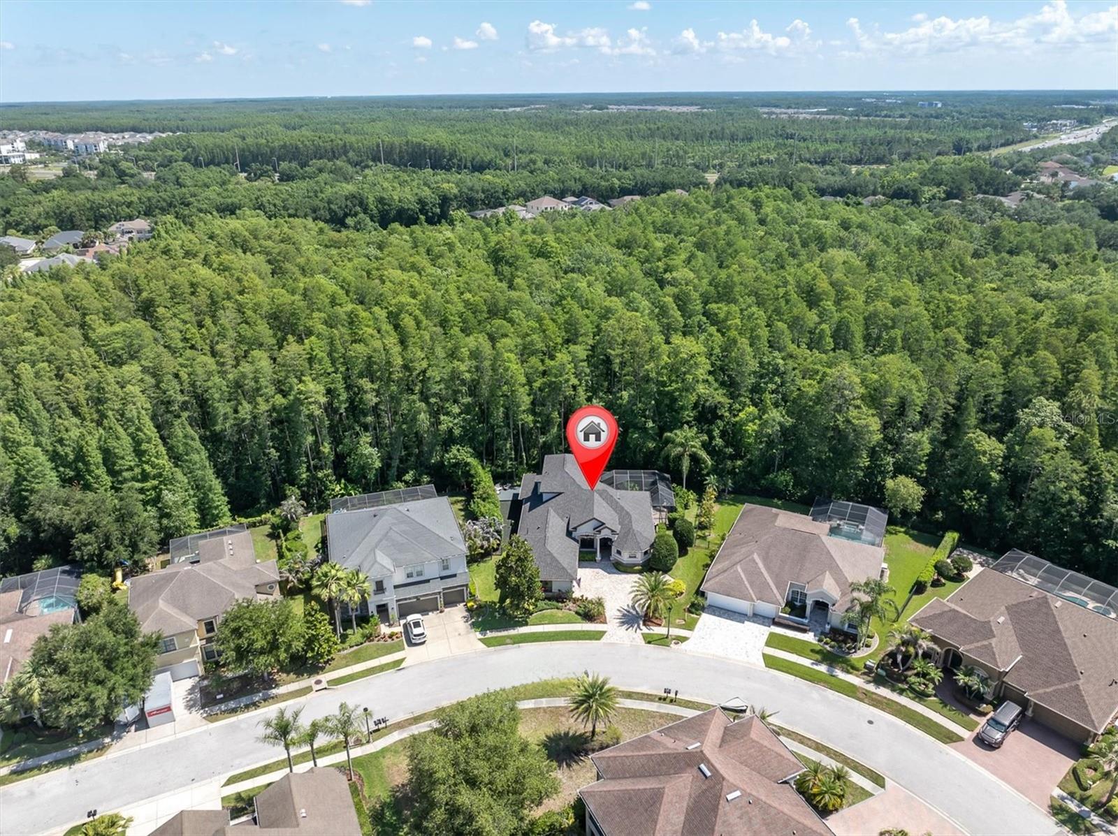 15223 WIND WHISPER DR, ODESSA, FL, 33556