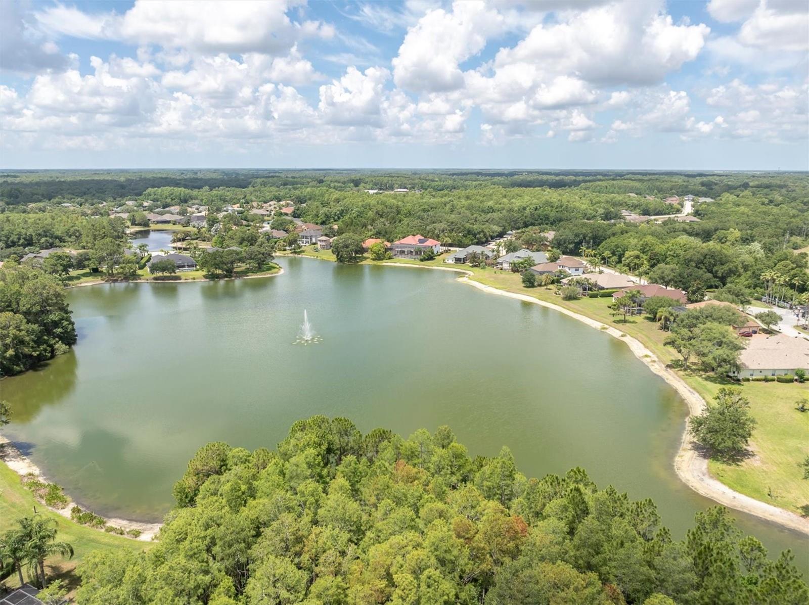 15223 WIND WHISPER DR, ODESSA, FL, 33556