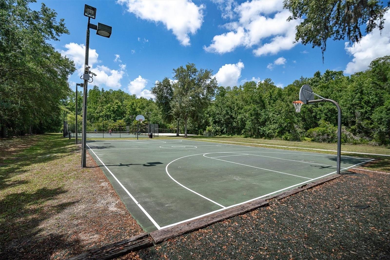 15223 WIND WHISPER DR, ODESSA, FL, 33556