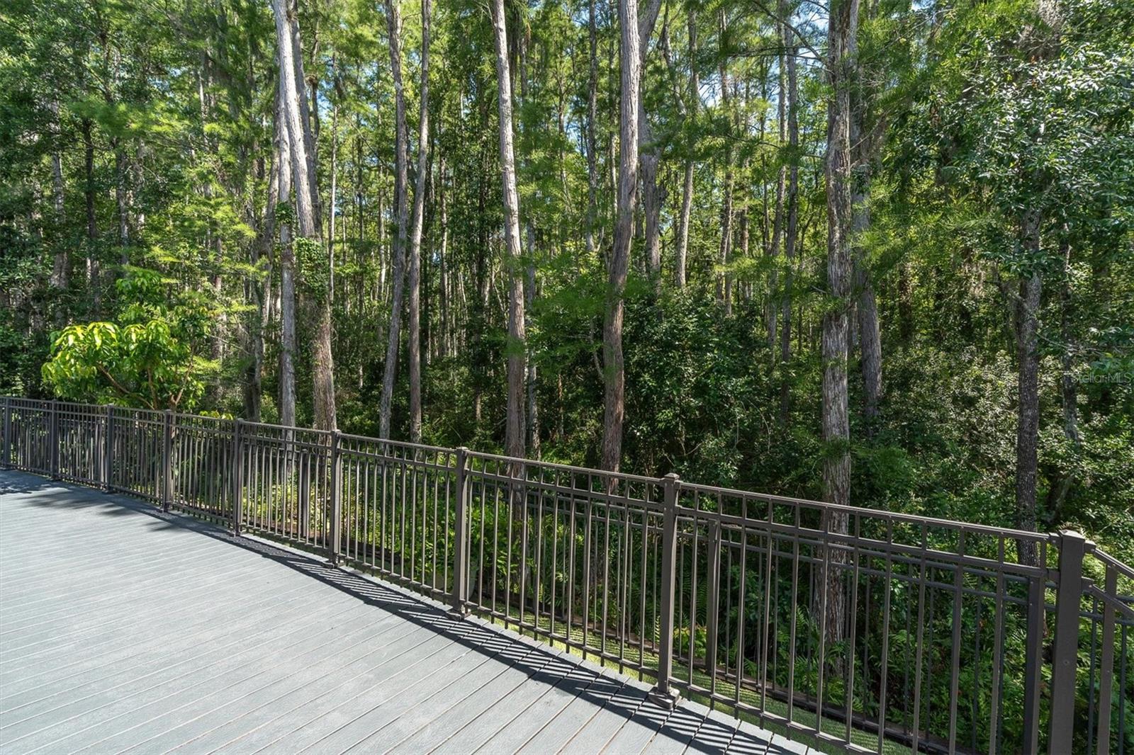 15223 WIND WHISPER DR, ODESSA, FL, 33556