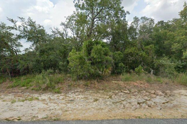 10381 CLARION ST, SPRING HILL, FL, 34608