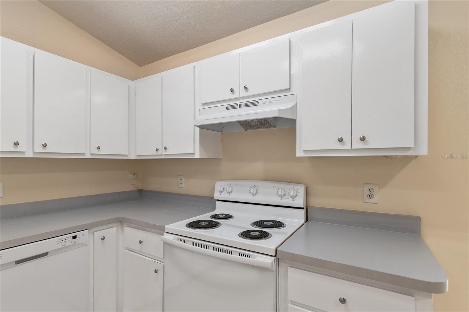 4329 NW 155TH ST, REDDICK, FL, 32686