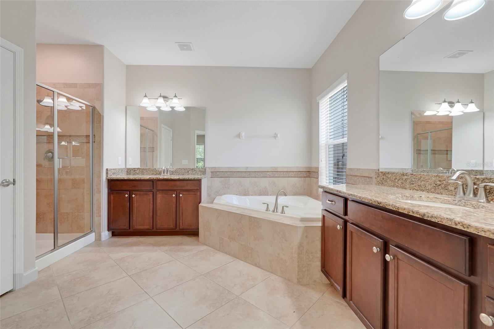13272 PENSHURST LN, WINDERMERE, FL, 34786