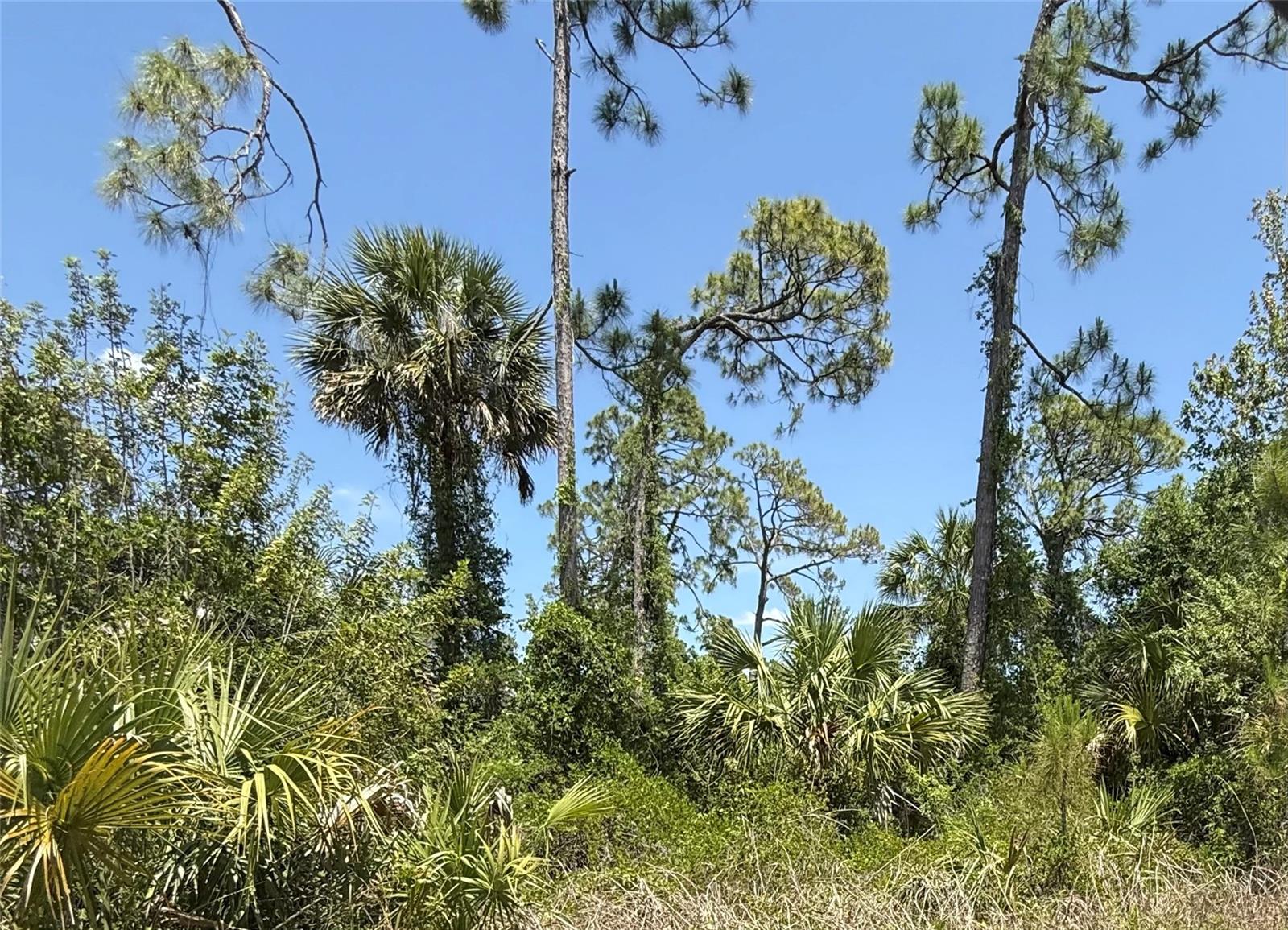 Lot 15 COASTAL ST, NORTH PORT, FL, 34288