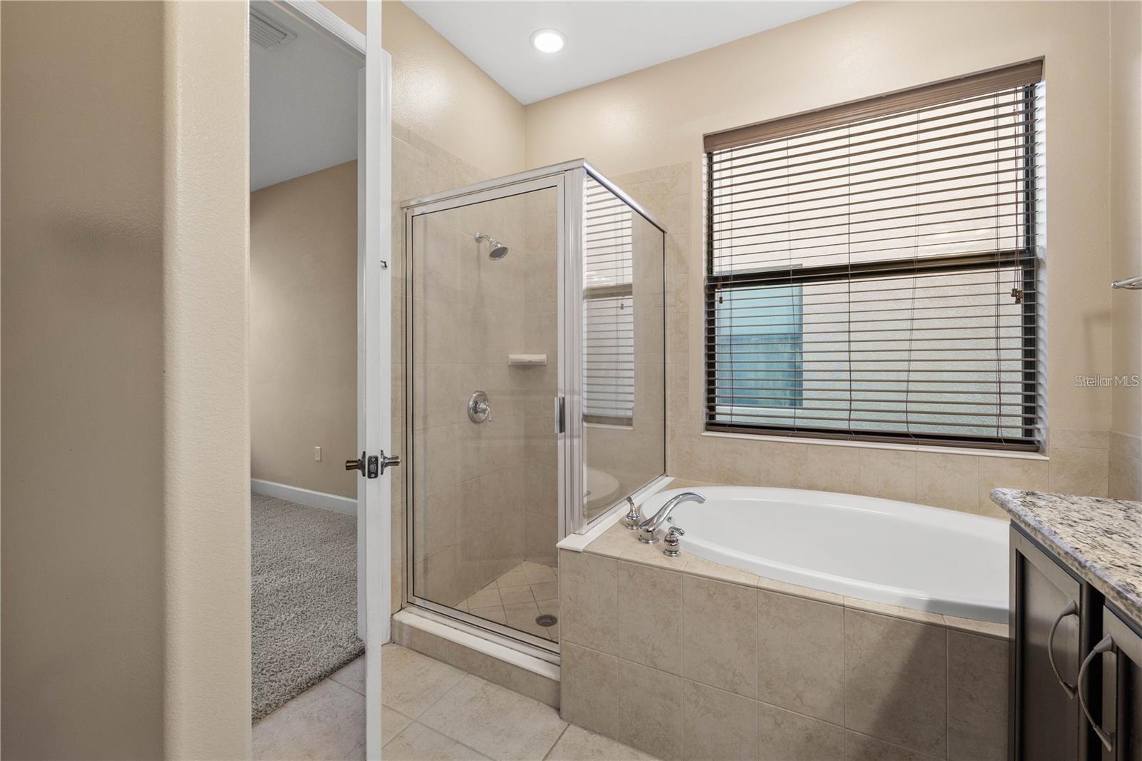 20329 HERTIAGE POINT, TAMPA, FL, 33647