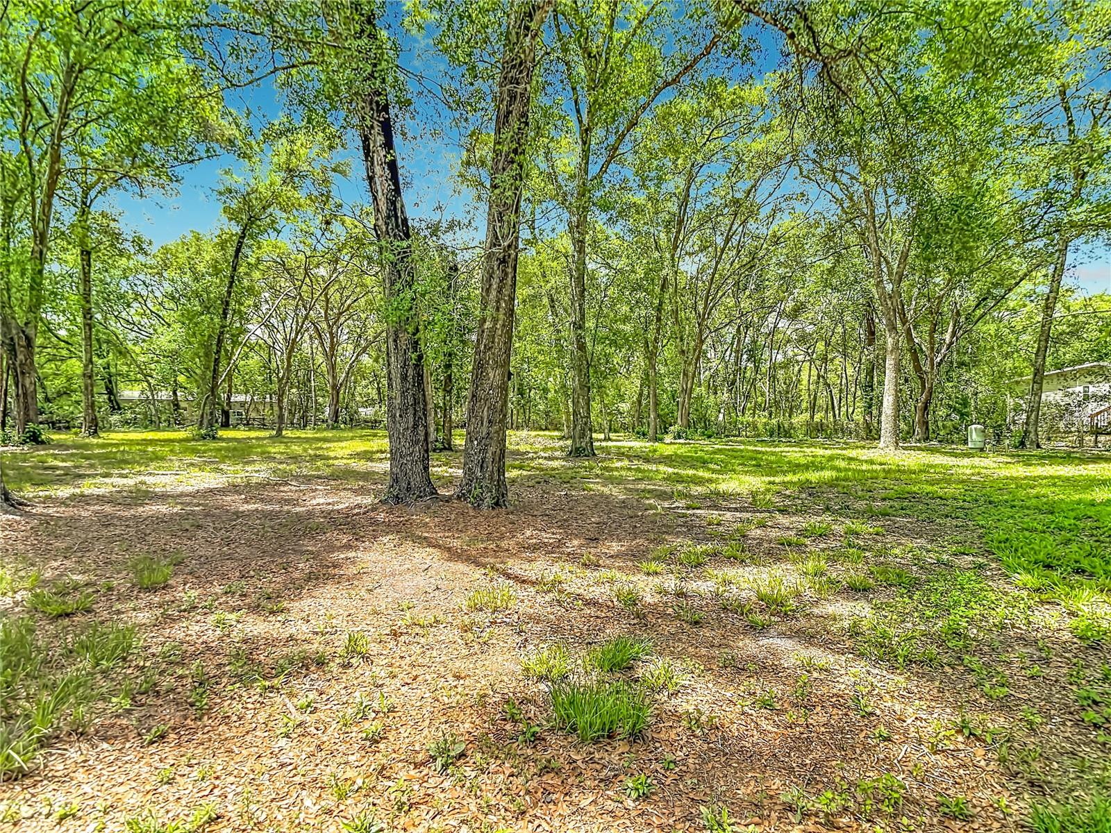 18118 PORSCHE PL, SPRING HILL, FL, 34610