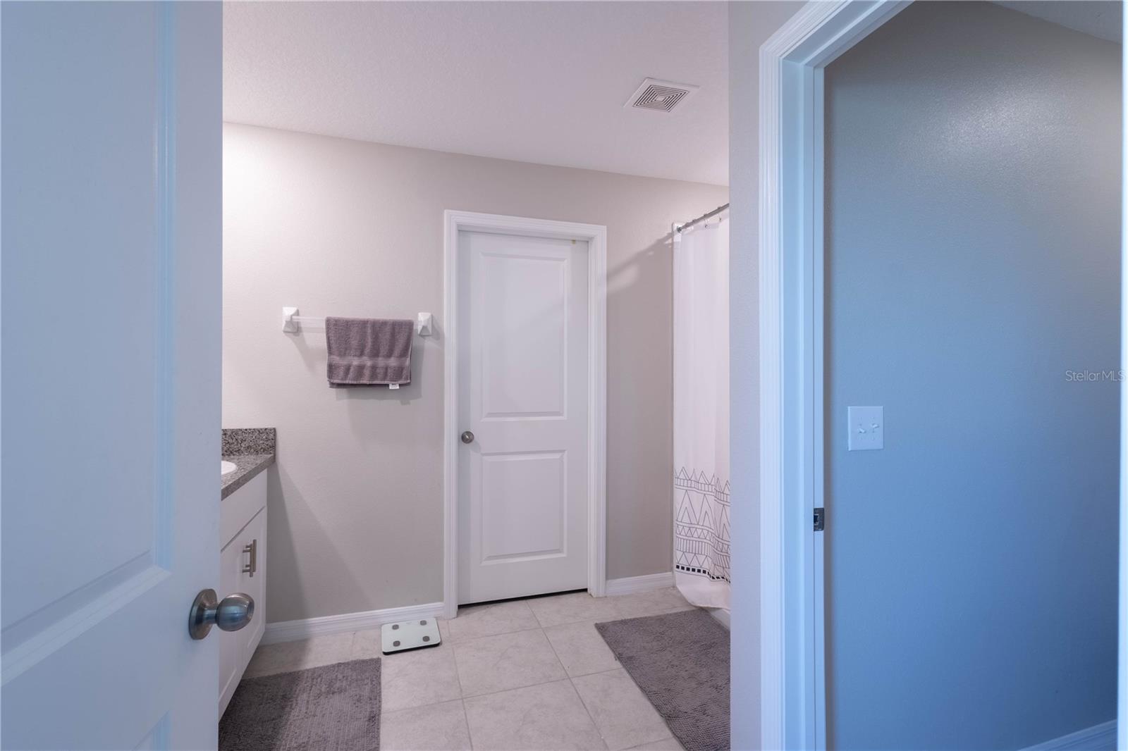 774 OLIVE CONCH ST, RUSKIN, FL, 33570