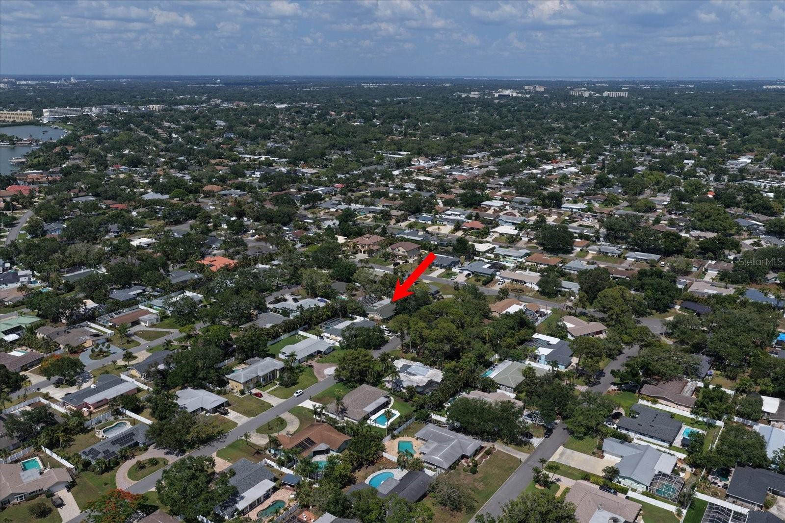 802 ALLAMANDA DR, LARGO, FL, 33770
