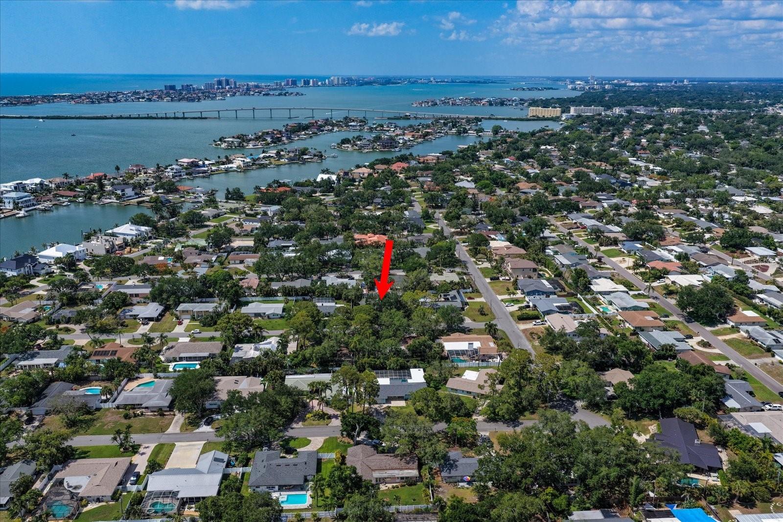 802 ALLAMANDA DR, LARGO, FL, 33770