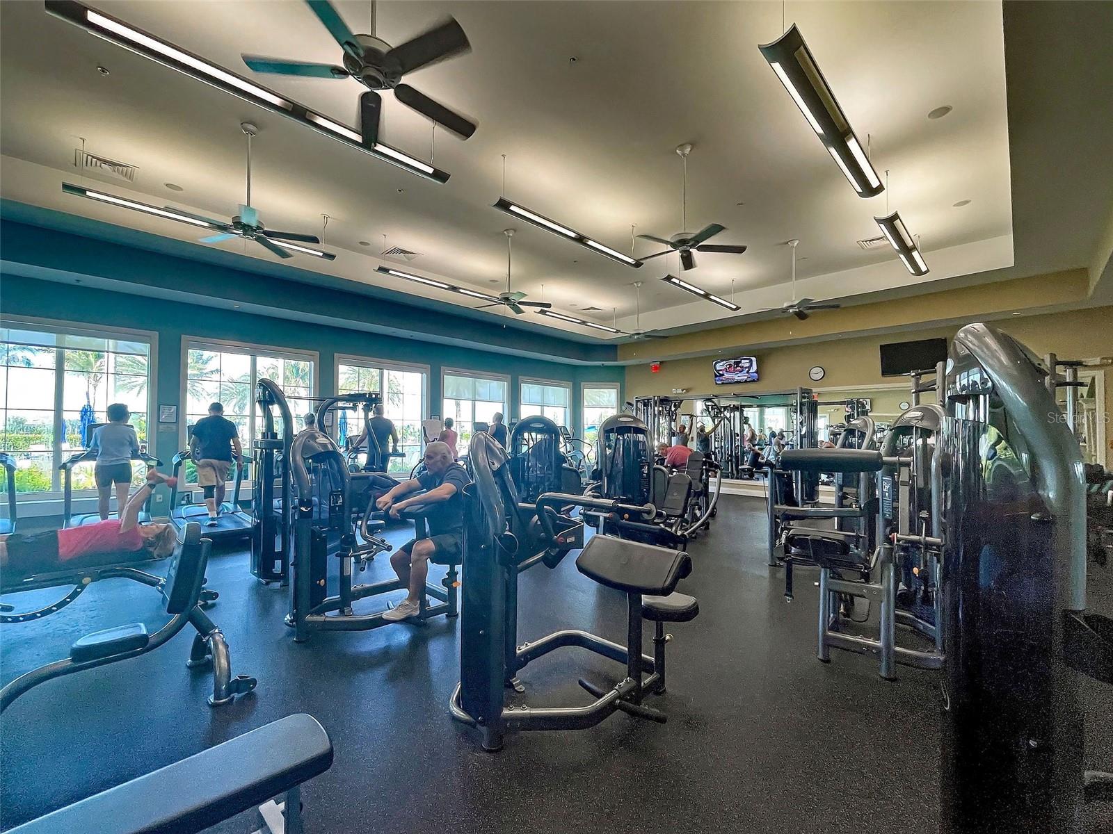13920 CAMPOLEONE ST, VENICE, FL, 34293