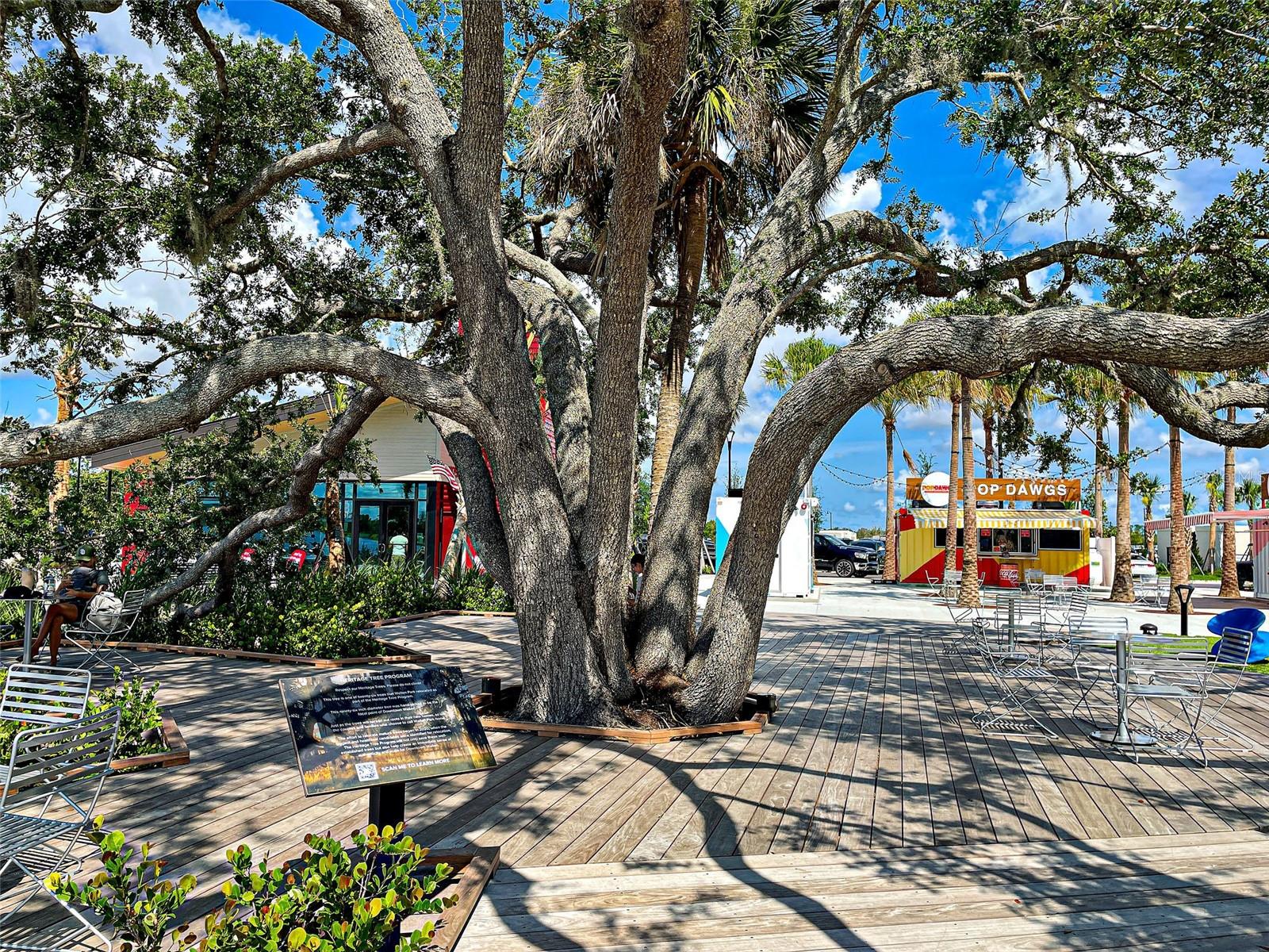 13920 CAMPOLEONE ST, VENICE, FL, 34293