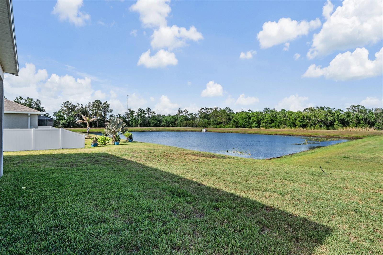 13418 LAKEVIEW OAKS LN, RIVERVIEW, FL, 33579