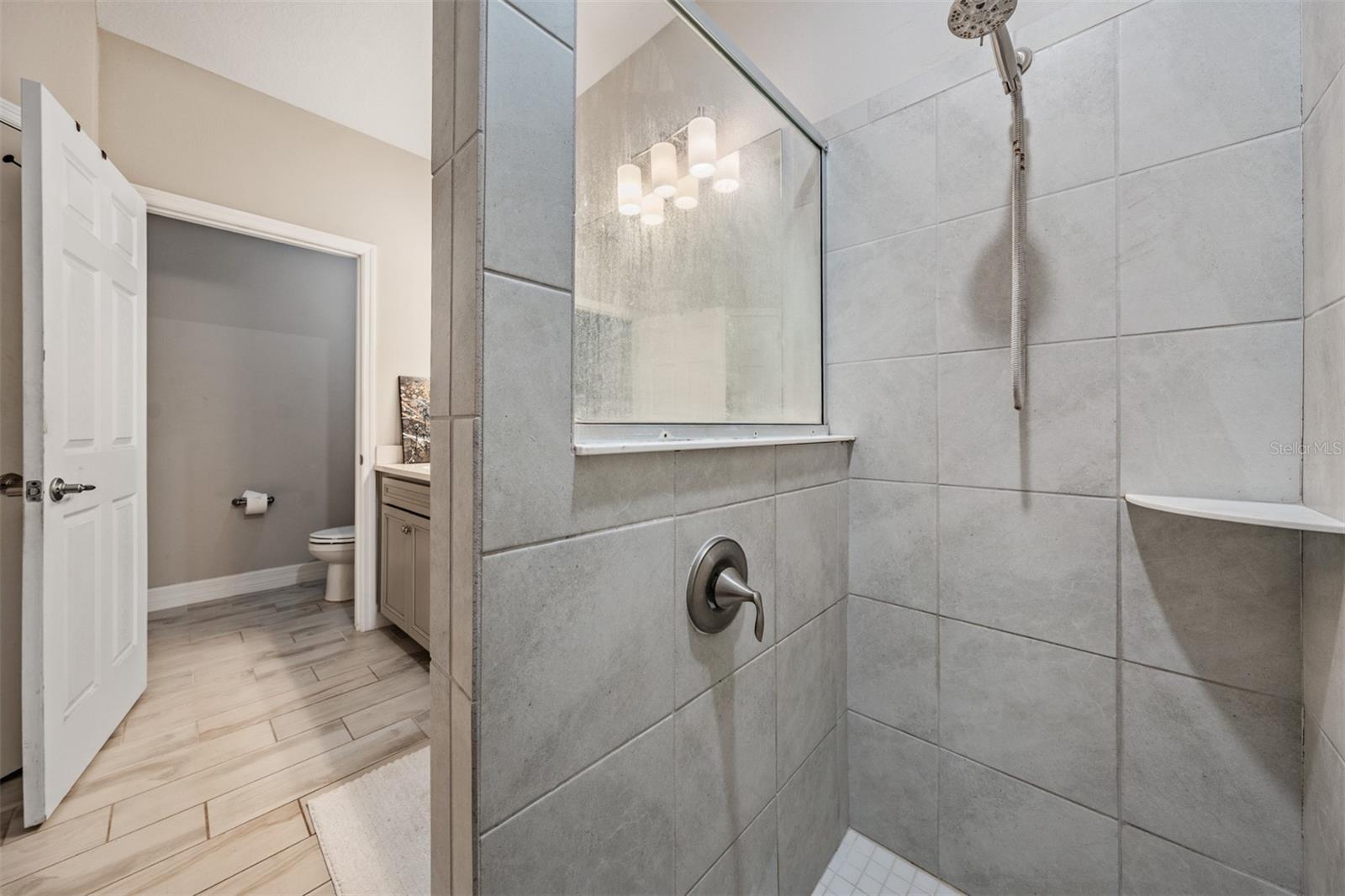13418 LAKEVIEW OAKS LN, RIVERVIEW, FL, 33579