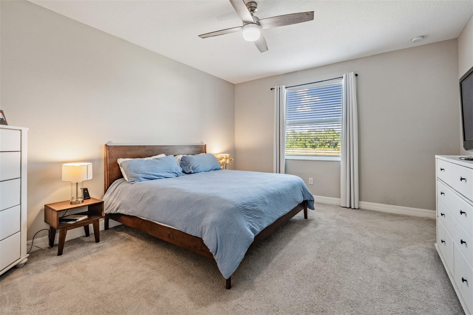 13418 LAKEVIEW OAKS LN, RIVERVIEW, FL, 33579