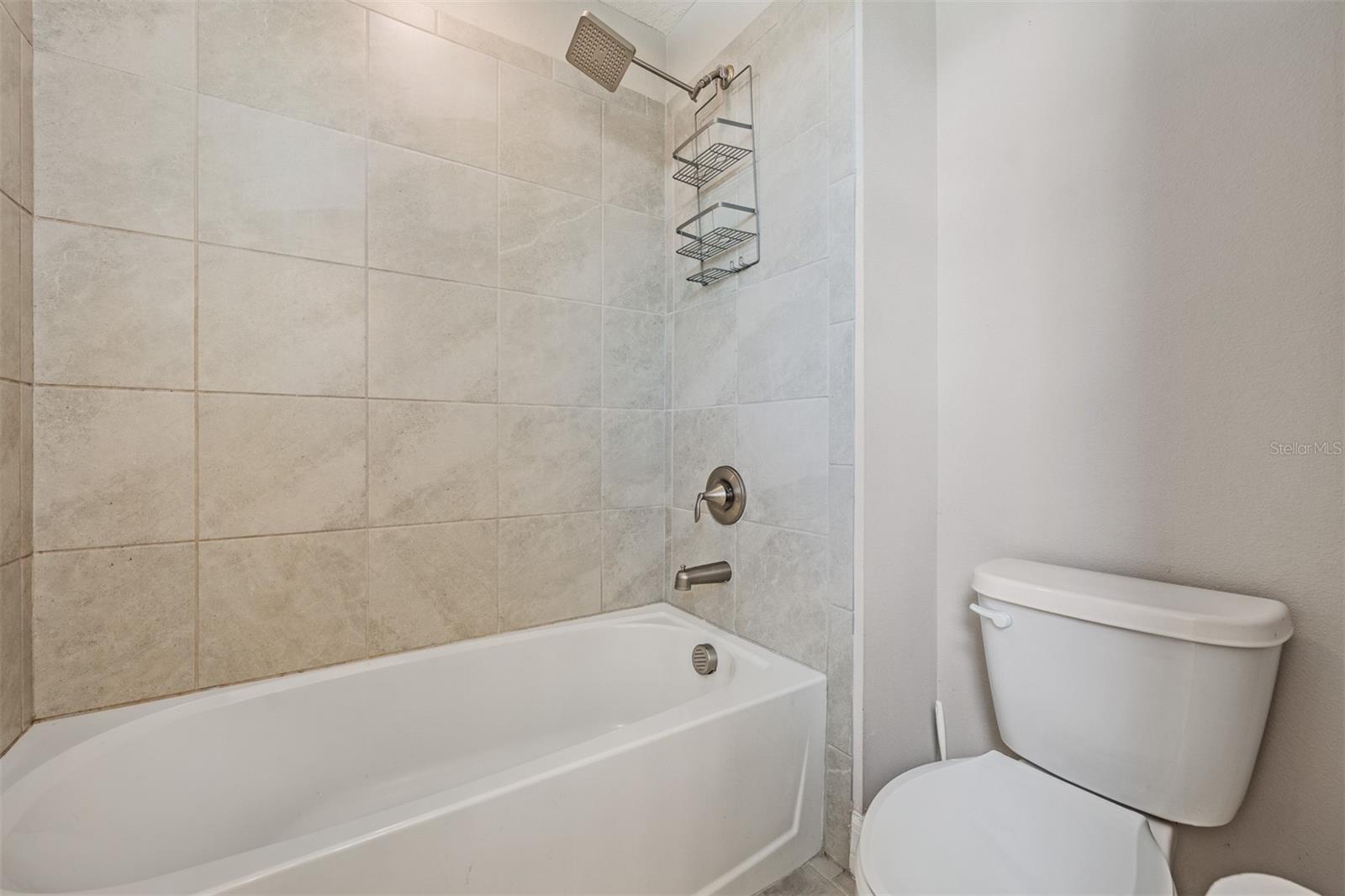 13418 LAKEVIEW OAKS LN, RIVERVIEW, FL, 33579
