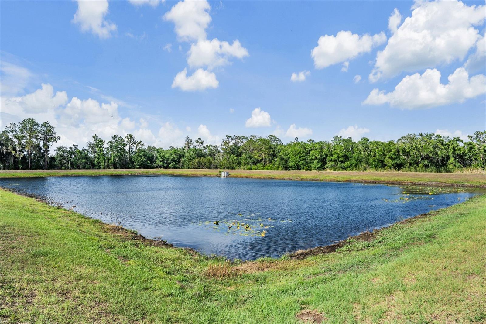 13418 LAKEVIEW OAKS LN, RIVERVIEW, FL, 33579