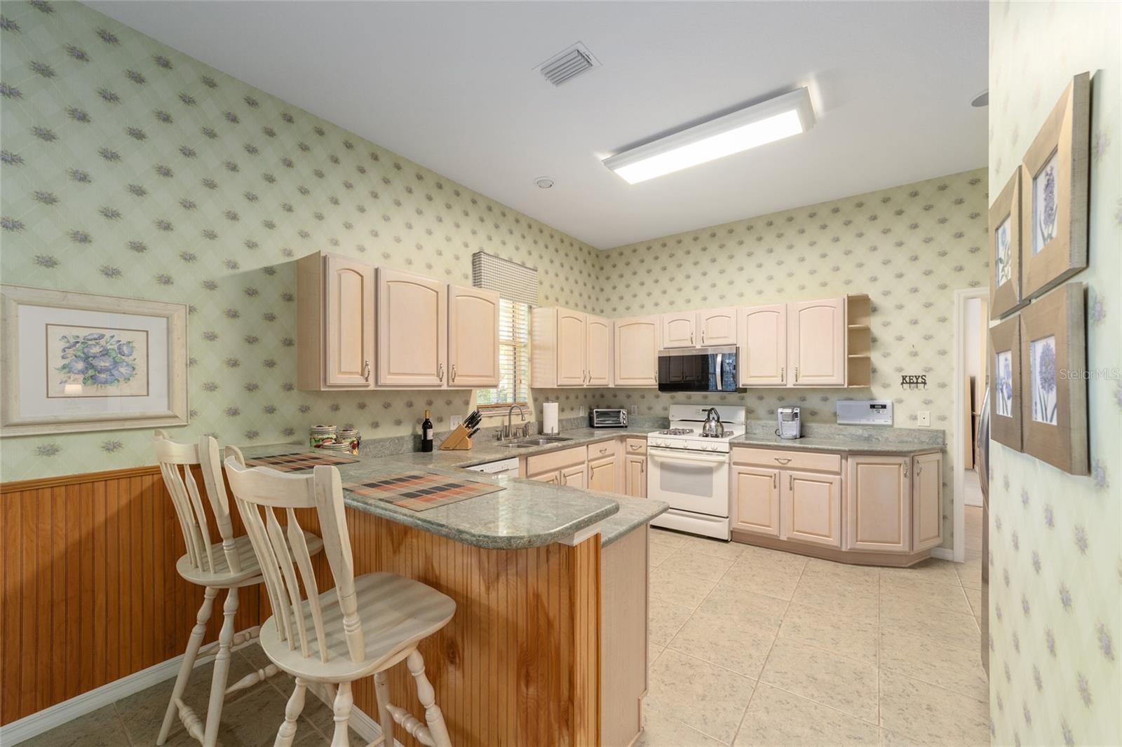 1074 AVENIDA SONOMA, LADY LAKE, FL, 32159