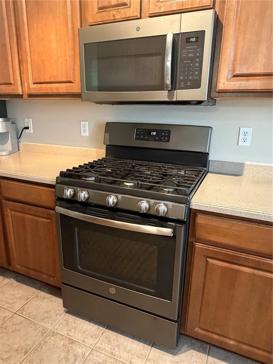 6129 FISHHAWK CROSSING BLVD, LITHIA, FL, 33547
