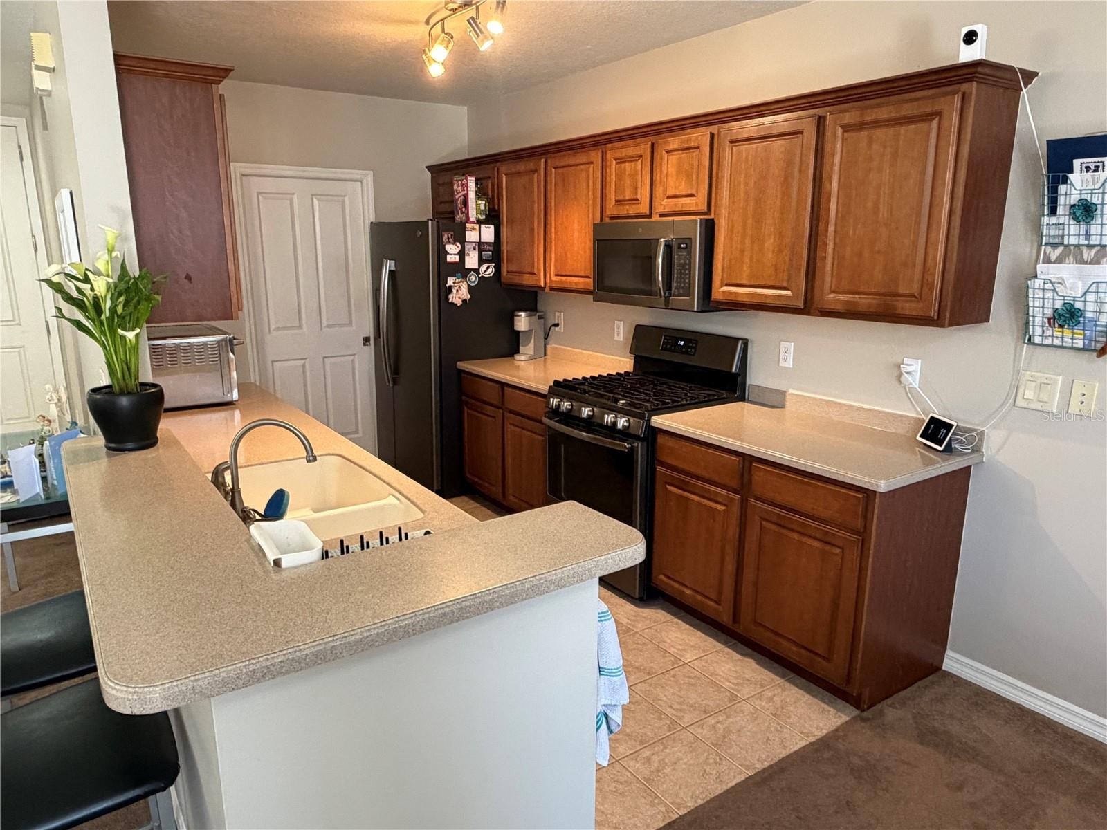 6129 FISHHAWK CROSSING BLVD, LITHIA, FL, 33547