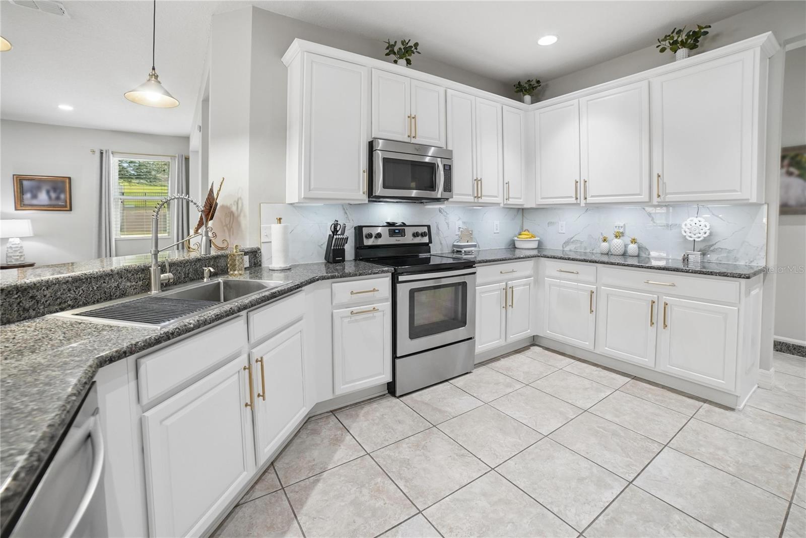 11302 WISHING WELL LN, CLERMONT, FL, 34711