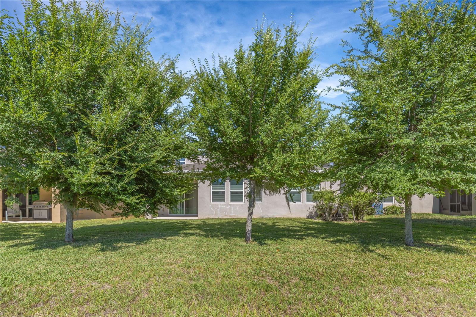 11607 WARREN OAKS PL, RIVERVIEW, FL, 33578